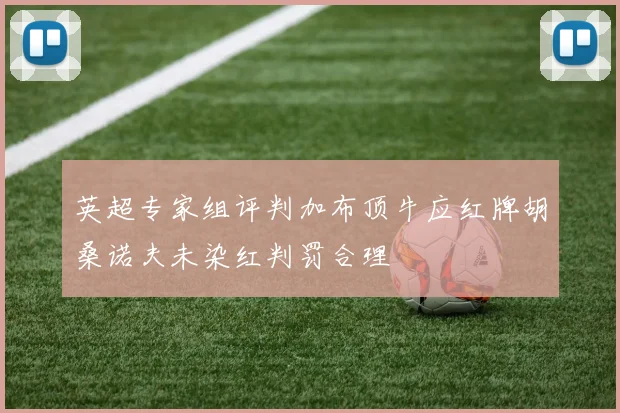 英超专家组评判加布顶牛应红牌胡桑诺夫未染红判罚合理